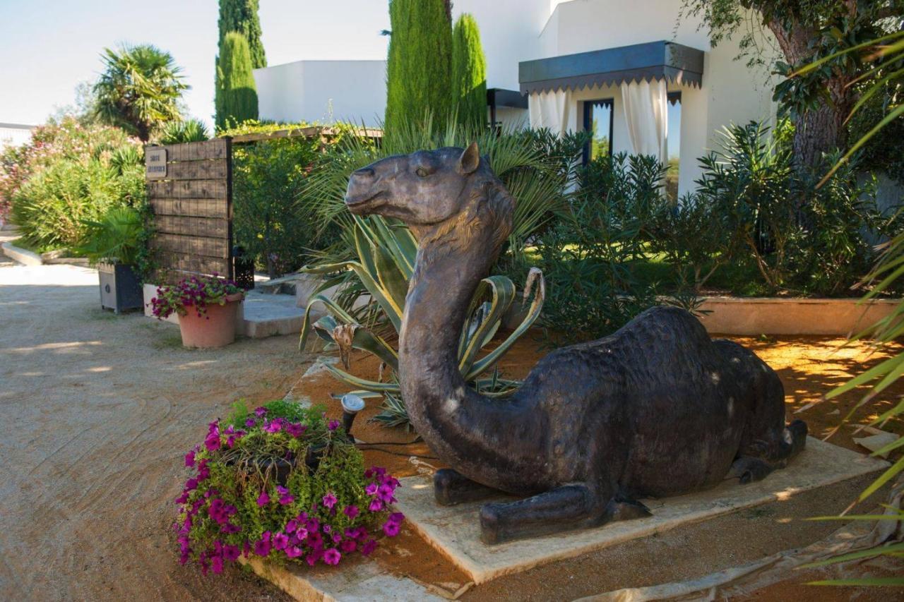 La Villa Majorelle ペルテュイ エクステリア 写真