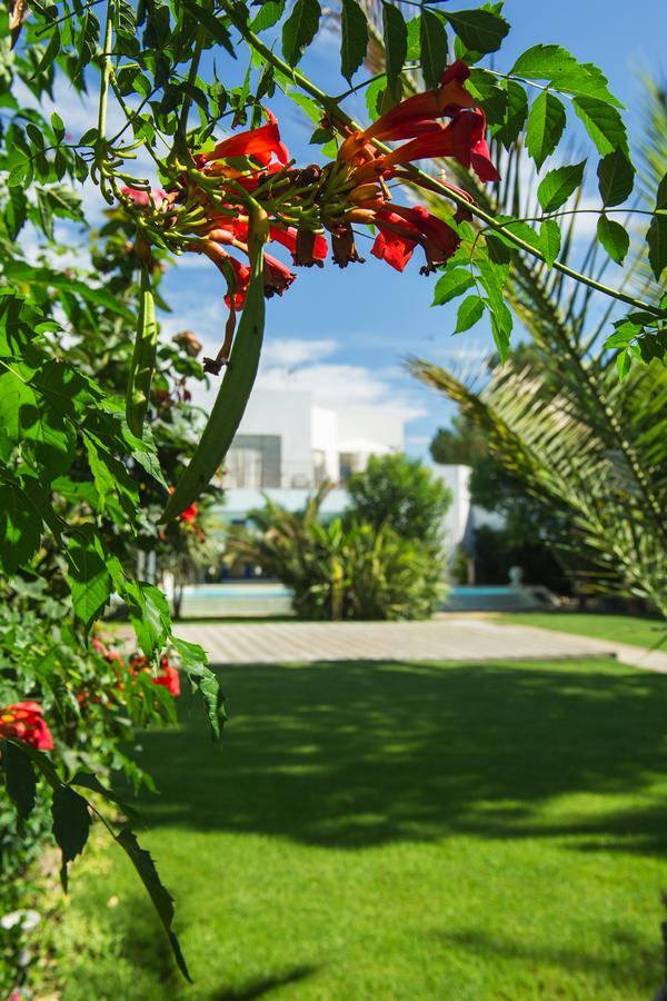 La Villa Majorelle ペルテュイ エクステリア 写真