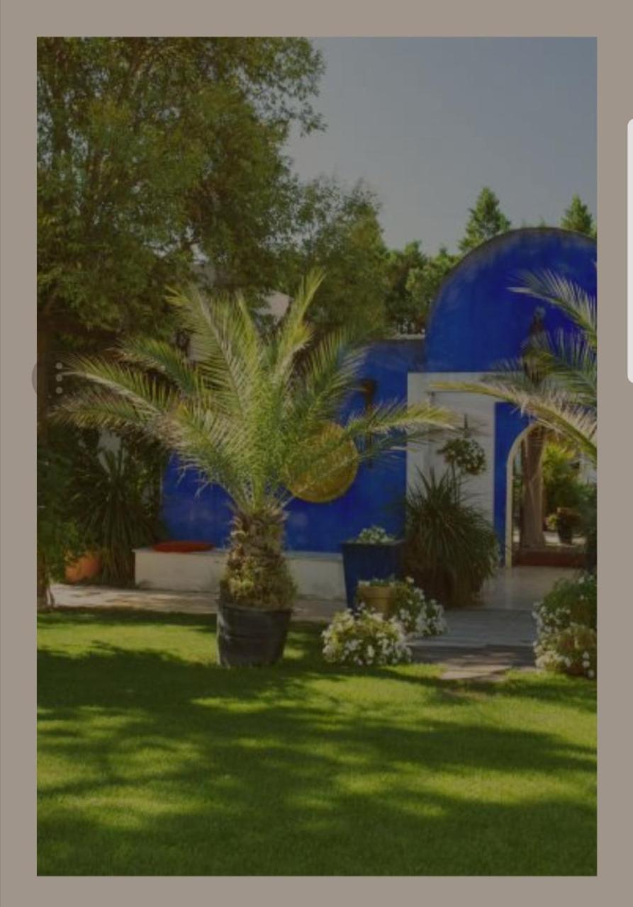 La Villa Majorelle ペルテュイ エクステリア 写真
